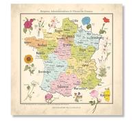 Carte des régions et fleurs de France - Affiche 50x50cm