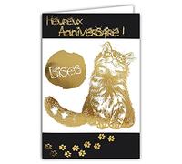 Carte Double Anniversaire - chat bises avec Dorure - Format 12 x 17,5 cm - Meilleurs Vœux - Enveloppe Blanche - Message Original - Fabriquée en France- Afie 69-7009