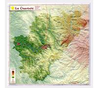 Carte en relief - Charente - 31 x 31 cm | Relief Editions