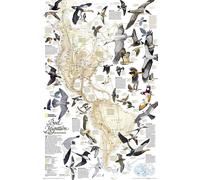 Carte murale (en anglais) - La Migration des oiseaux dans l'hémisphère nord - 59 x 79 cm | National Geographic - Papier