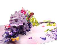 Carte pop-up 3D motif colibri et glycine - Carte pliante avec papillons - 15 x 20 cm fermée, 30 x 20 cm ouverte - 11 cm - Effet 3D - Avec enveloppe blanche - Cadeau d'anniversaire, fête des mères et