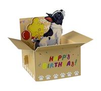 Cartes d'anniversaire - Carte de blague coquine, carte d'anniversaire, lettre pliable humoristique, message hilarant pour célébration | Lot de vœux surprise idéal pour les amis