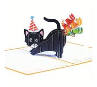 Cartes d'anniversaire pop-up, carte d'anniversaire 3D pour amateurs de chats, carte d'anniversaire de chat amusante, cartes 3D amusantes pop-up, carte d'anniversaire joyeux anniversaire, retour à l'éc