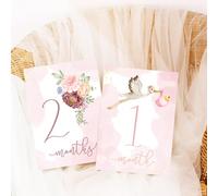 Cartes de jalons mensuelles pour bébé, cadeau de naissance, fête prénatale, cartes mensuelles pour garçons et filles, photos mensuelles (fille)
