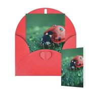 Cartes de vœux « Thinking of You » avec enveloppes - Noir - Coccinelle - Pour toutes les occasions - Carte vierge pour invitations de mariage, Saint-Valentin, anniversaire - 10 x 15 cm
