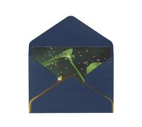 Cartes de vœux vierges grenouille et pluie avec enveloppes pour toutes les occasions, amical, anniversaire, remerciement, félicitations, Nouvel An, anniversaire Bleu