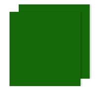 Carton 240 g 25 feuilles 50 x 65 cm Canson Iris Vert sapin/P