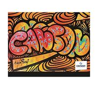 Carton à dessin CANSON Studio 26x33cm Edition Artiste noir/blanc Noir