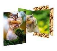Carton à dessin 'Panda', A3