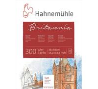 Carton aquarelle mat, 300 g/m², format 36x48 cm, 12 feuilles