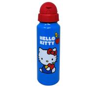 CARTOON Bouteille d'eau en aluminium avec paille Hello Kitty bouteille 550 ml accessoire pour enfants