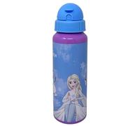 CARTOON Gourde en aluminium avec paille Disney La Reine des Neiges Elsa Olaf 550 ml Accessoire pour enfants
