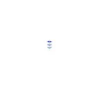 Cartouche filtrante Type VI Lay-Z-Spa lot de 2, 10,6 cm