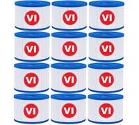Cartouche filtrante VI pour spa, piscine et jacuzzi - Lot de 12 pièces compatible Bestway 58323E, Coleman Saluspa 90427E et - 12 pcs