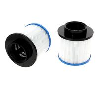 Cartouche / Filtre SPA de haute Qualité Darlly Lot de 2 pcs