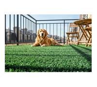 Casanoov Gazon Synthétique Orso 1x8m Hauteur Brins 7mm - Gazon Artificiel Extérieur en Rouleau - Faux Gazon Résistant UV Chlore - Idéal Balcon Terrasse Jardin Piscine