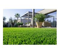 Casanoov gazon synthétique pelmo 1m x 10m - 30mm
