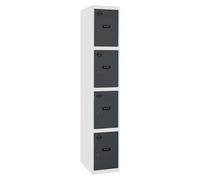 Casier-armoire Simonlocker Prof.dism.4 Porte 1/4 300 In Bl/an Blanc/antracite 1800x300x500 - Simonrack