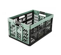 keeeper Casier de rangement pliant Ben 45 L avec poignées souples Vert