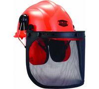 Casque complet forestier SOLIDUR - CA01