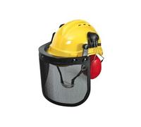 Ribimex Casque de protection parcs et jardins 3 en 1 anti-bruit Vert