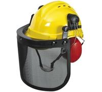 Ribimex Casque de protection parcs et jardins 3 en 1 anti-bruit Vert