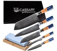 Cassary Set de couteaux de cuisine professionnel en acier damas avec pierre à aiguiser Japonaise. Couteau japonais professionnel (pierre a aiguiser japonaise inclus) idéal pour tout chef (5 set)