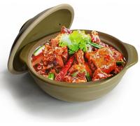 Casserole en argile, pot en céramique résistant à la chaleur - Bols avec couvercle, idéal pour cuisiner des soupes, des plats mijotés, et des soupes à l'oignon à la française (3200 ml / 111 oz)
