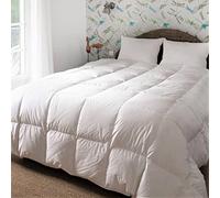 CASTEX - Couette Chaude Duvet/Coton Bio 240x220