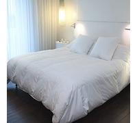 CASTEX - Couette Chaude Plume-Duvet 160x200