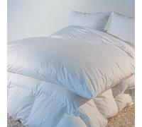 CASTEX - Édredon Gonflant Blanc Plume-Duvet 90x150