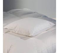 CASTEX- Oreiller Plat Moelleux Plume-Duvet 60x60