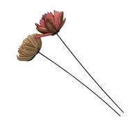 CATIEBYE Bouquet de 2 Fleurs Séchées Naturelles Déco Maison, Composition de Fleur Artisanale Rose Pâle et Beige, Décoration Stabilisée Solide pour Mariage et Intérieur Chaleureux