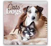 Cats and Dogs - Katzen und Hunde 2027 - 16-Monatskalender: Original Gifted Stationery-Kalender [Mehrsprachig] [Kalender]