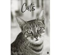 Cats Edition Calendrier 2025 : élégant motif pattes de velours noir et blanc dans un calendrier XXL. Calendrier animaux 2025 grand format. Calendrier photo de qualité supérieure pour les fans de