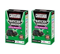 Caussade Anti-Rats - 20 Pâtes Fluorescentes - 300g | Efficacité Radicale - Spécial Rats Résistants - Prêt à l'Emploi - Hyper Appétent - CARPTFLUO150X2
