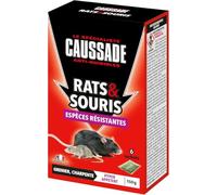 CAUSSADE Anti-Rats & Souris - 6 Sachets Céréales - 150g | Efficacité Radicale - Lieux Secs - Prêt à l'Emploi - Une Ingestion Suffit - Fabriqué en France - CARSCBR150