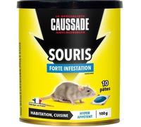 CAUSSADE Anti-Souris - 10 Sachets Pâtes - 100g - Forte Infestation - Tous Lieux - Prêt à l'emploi - CASAPT10N