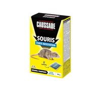 Caussade Anti-Souris - Forte Infestation - 5 Sachets Céréales - 100g | Lieux Secs - Prêt à l'Emploi - Une Ingestion Suffit - Fabriqué en France - CASAE4N