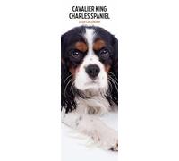 Cavalier King Charles Calendrier fin 2026