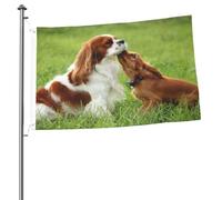 Cavalier King Charles Spaniel (3) mâts de drapeau de jardin personnalisés, drapeaux de 90 cm x 60 cm avec œillets