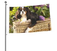 Cavalier King Charles Spaniel (4) mâts de drapeau de jardin personnalisés, drapeaux de 90 cm x 60 cm avec œillets