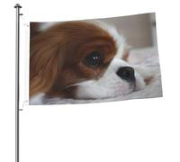 Cavalier King Charles Spaniel, chiots, mâts de drapeau de jardin personnalisés, drapeaux de 90 x 60 cm avec œillets