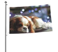 Cavalier King Charles Spaniel, petit épagneul, mâts de drapeau de jardin personnalisés, drapeaux de 90 cm x 60 cm avec œillets