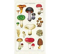 Cavallini Papers & Co. Vintage Champignons Coton Torchon