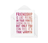 CBH1602 Cartes d'amitié - Carte d'anniversaire - Friendship Is Like Peeing In Your Pants - Blague de plaisanterie pour meilleurs amis et collègues de travail