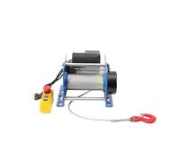 CDZHLTG Treuil Électrique 400-800 kg, Treuil de Levage 220V 1,3 kW | Palan Électrique, Moteur Cuivre Pur 1,3 kW, Vitesse 9-13 m/min, Hauteur 30 m, Télécommande Filaire, Boîtier Acier Allié