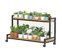 Ce Support à Plantes en métal à 2 ou 3 Niveaux Convient à Une Utilisation intérieure et extérieure pour Plusieurs Plantes. Il Sert d'étagère, d'échelle et de Support pour Pots de Fleurs, idé
