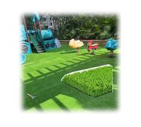 Ce Tapis de Gazon synthétique épais et réaliste, doté de Trous de Drainage, est idéal pour décorer Une terrasse, Un Jardin, Une pelouse ou Un Balcon. Il est Durable et Mesure 1,5 x 10 m (5 x
