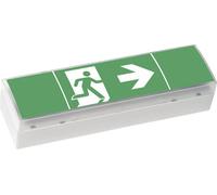 CEAG 40071354775 Eclairage LED dissue de secours montage au plafond, montage mural gauche, droite, en bas